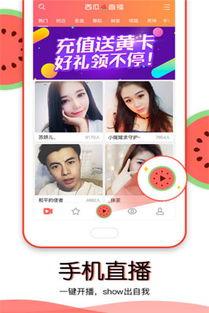 吃瓜视频在线观看免费版,吃瓜视频在线观看新体验