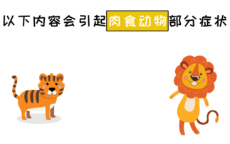 哔哩哔哩 网红大鹅