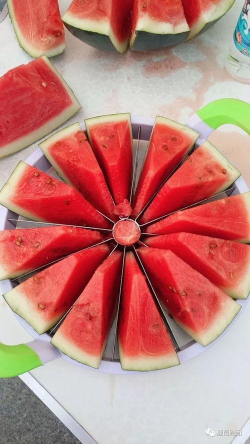 吃瓜网每日大赛