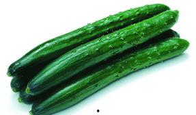 黄瓜c